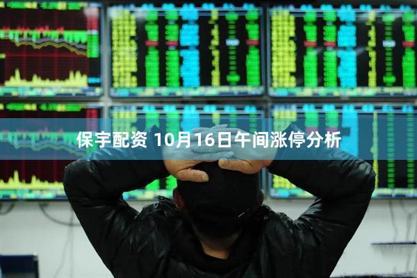 保宇配资 10月16日午间涨停分析
