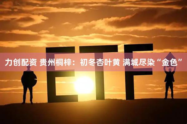 力创配资 贵州桐梓：初冬杏叶黄 满城尽染“金色”