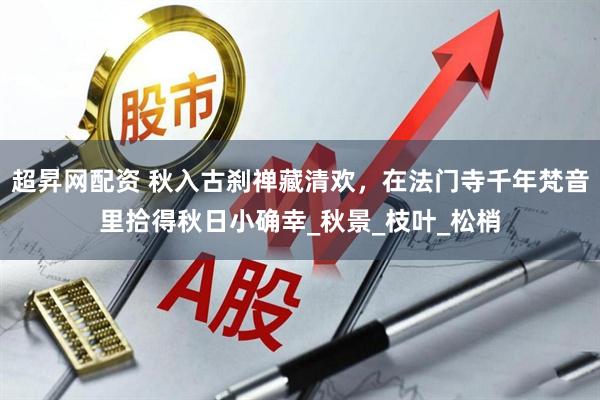 超昇网配资 秋入古刹禅藏清欢，在法门寺千年梵音里拾得秋日小确幸_秋景_枝叶_松梢